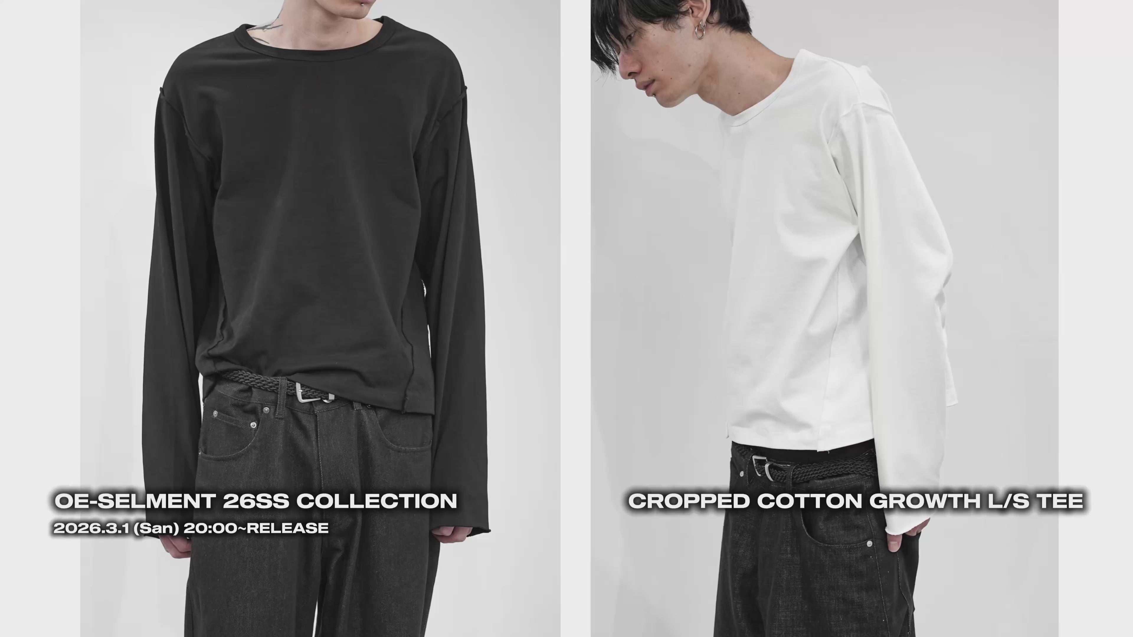 動画を読み込む: 